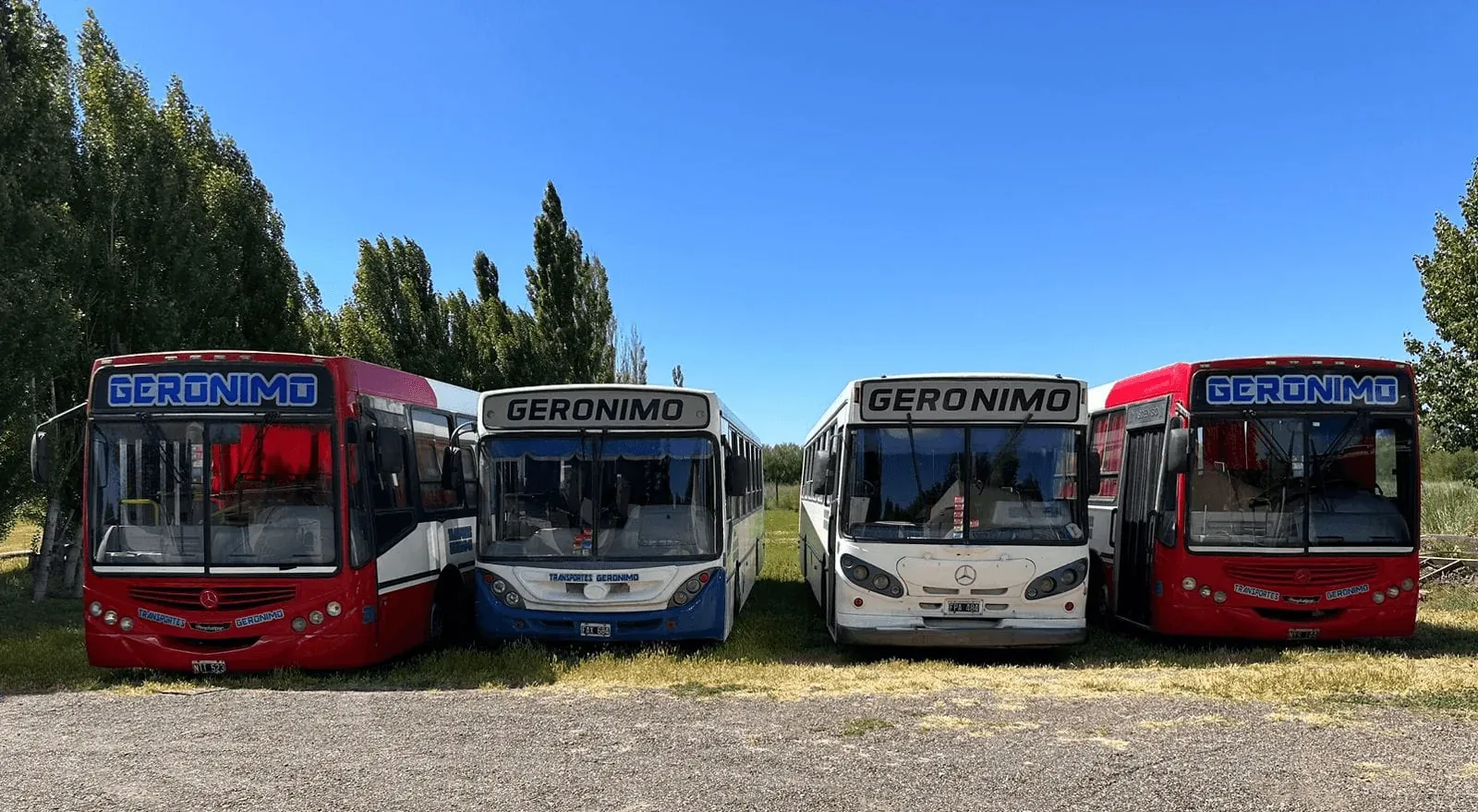 Four buses with "GERONIMO" signage are parked side by side on a grassy area, with a clear blue sky and some trees in the background.